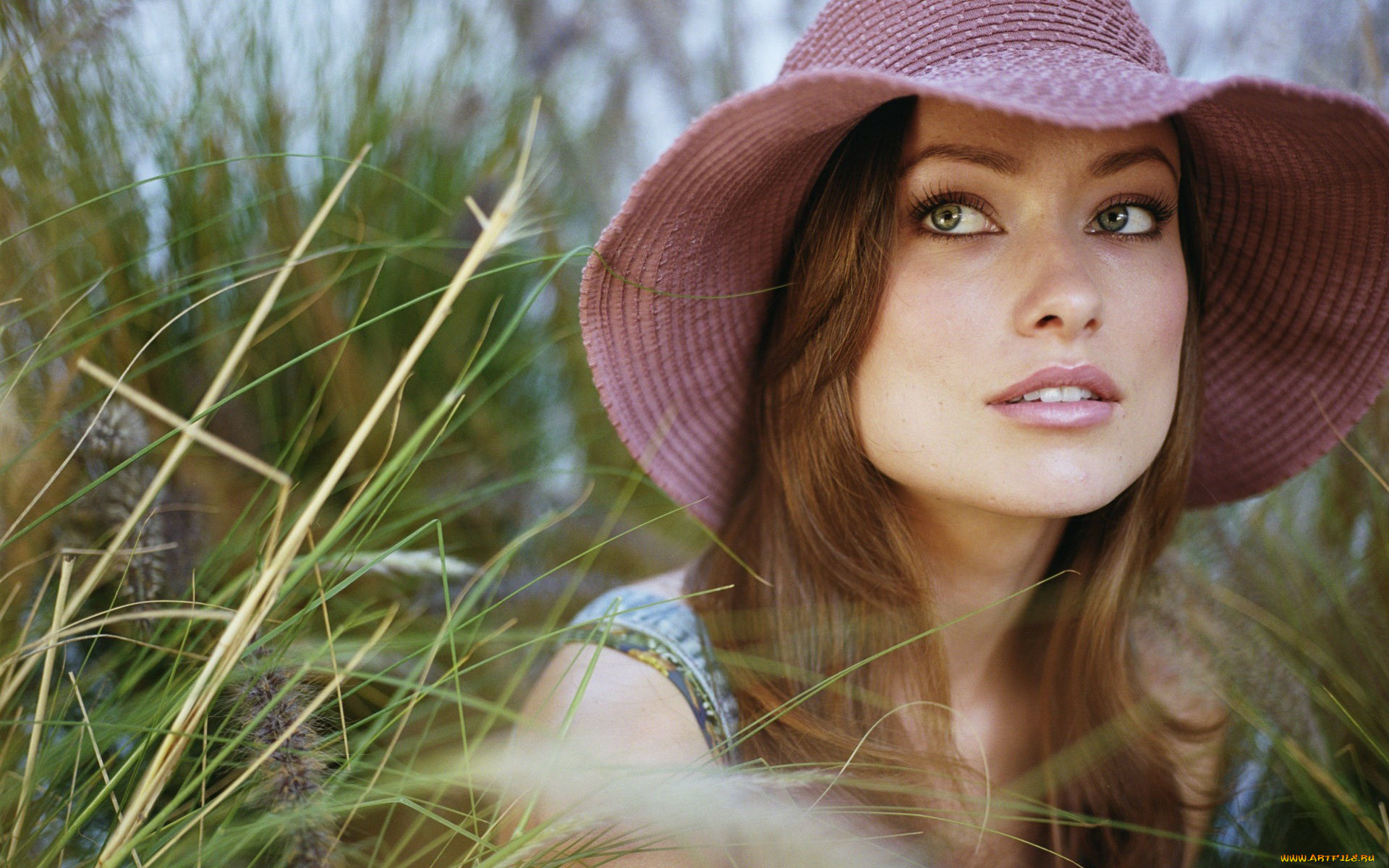 , olivia wilde, , , , , , , 